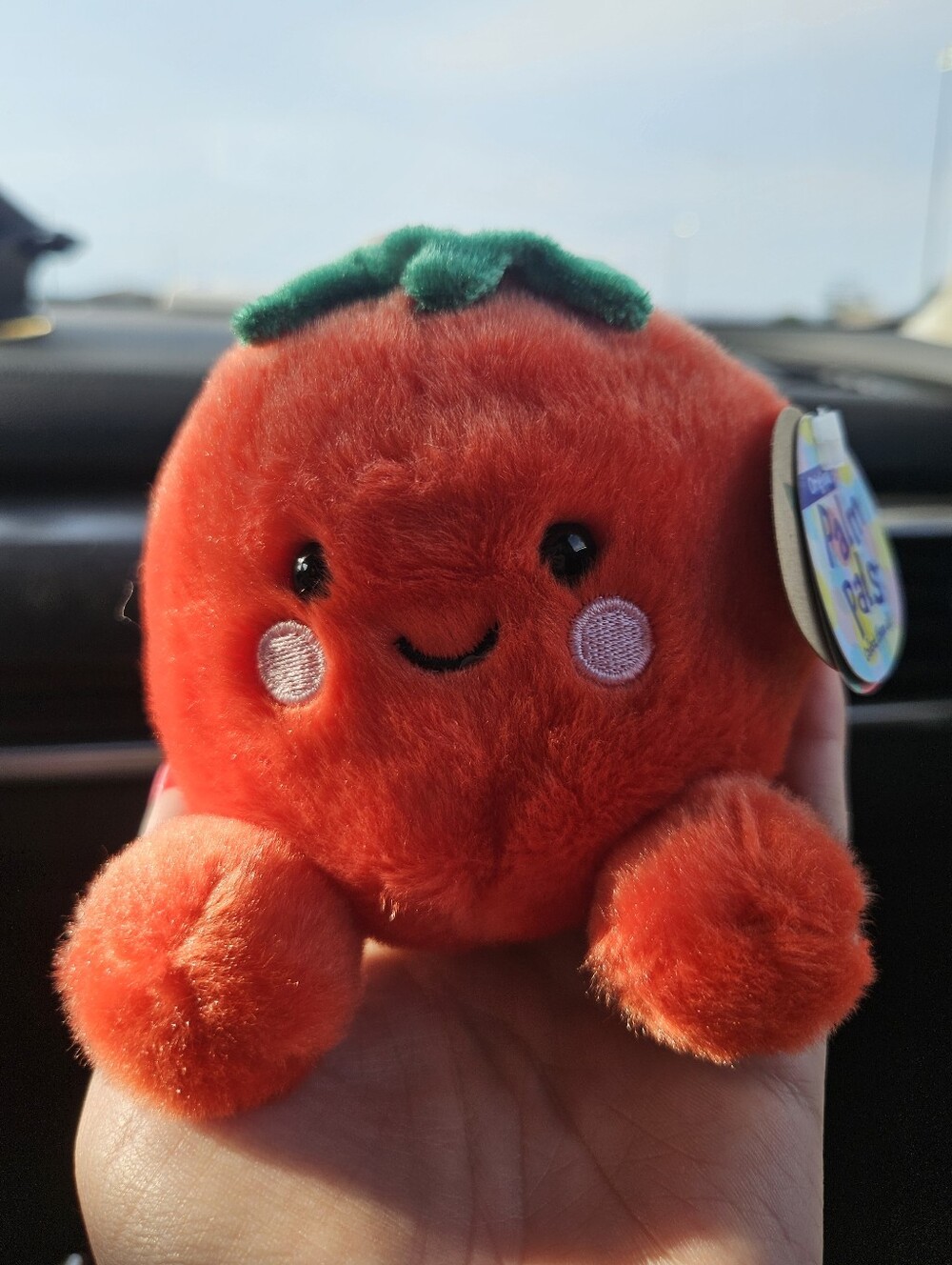 NWT Boyd The Tomato Palm Pal Plush Cravings Squad